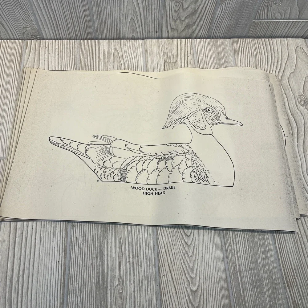 Belleville Area Holzschnitzers Duck Decoy Carving Patterns Lot of 22 Waterfowl